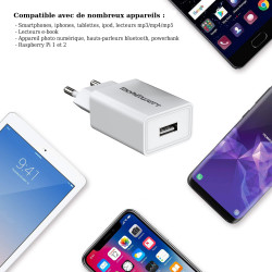 Chargeur secteur vers USB blanc 5V 2A pour iPhone iPod Samsung Huawei Honor 7 Nokia LG